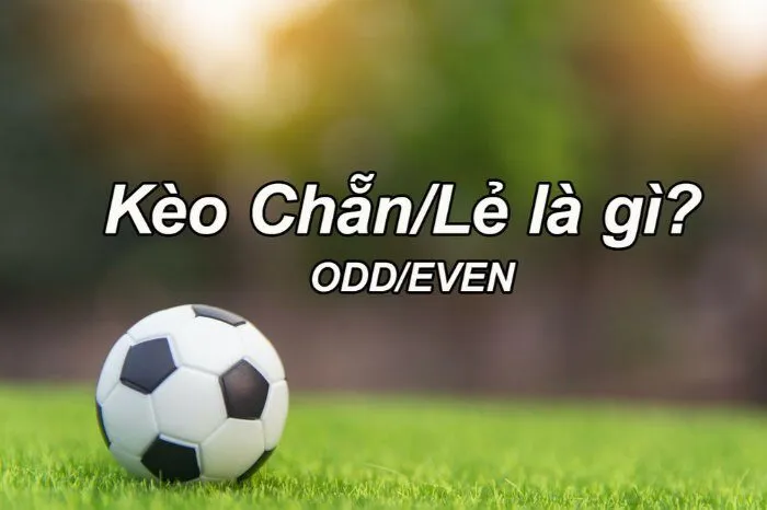 Kèo Chẵn Lẻ Bóng Đá Là Gì? Cách Chinh Phục Kèo Hiệu Quả